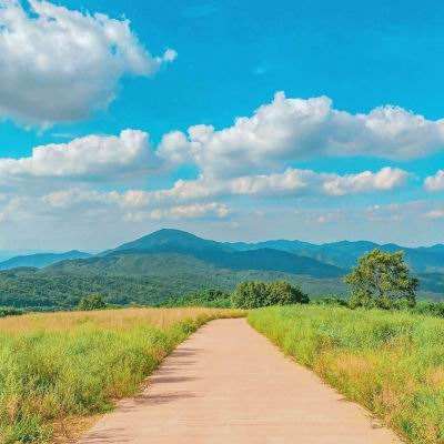 ag真人国际官网截图