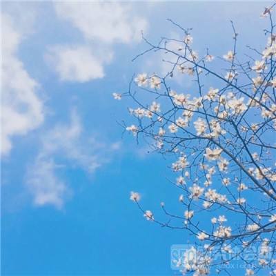 安博.体育app下载截图