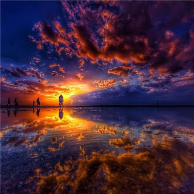 bibo必博体育截图